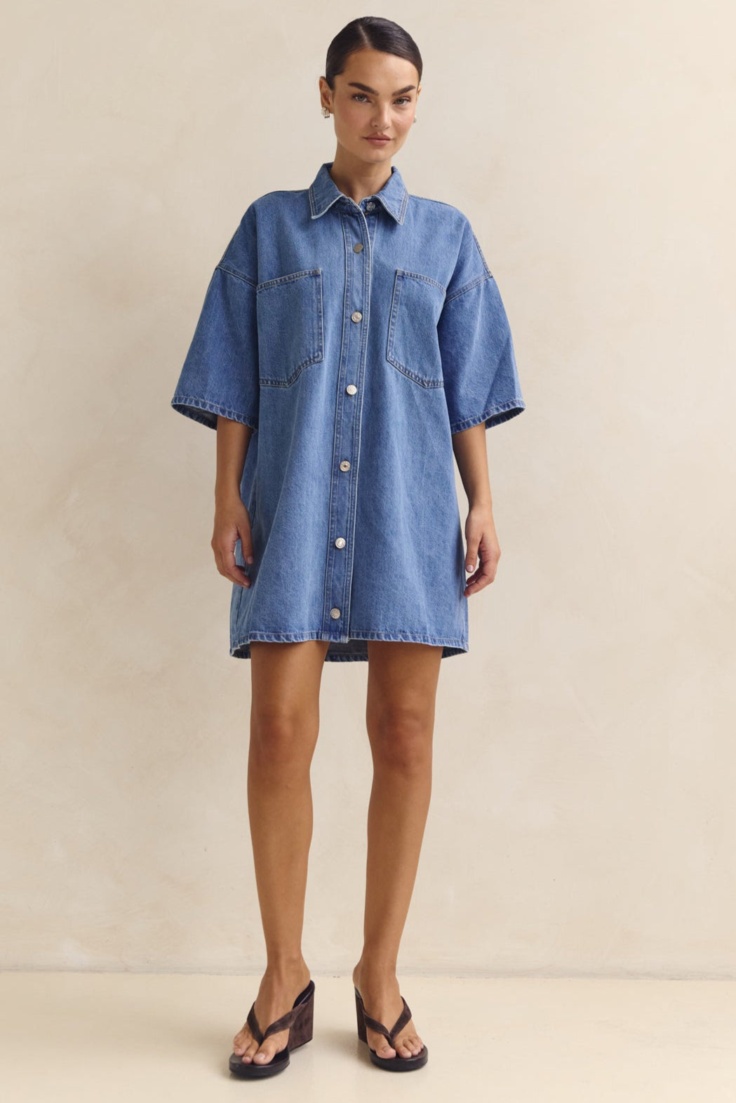 Parker Denim Shirt Dress (Blue)