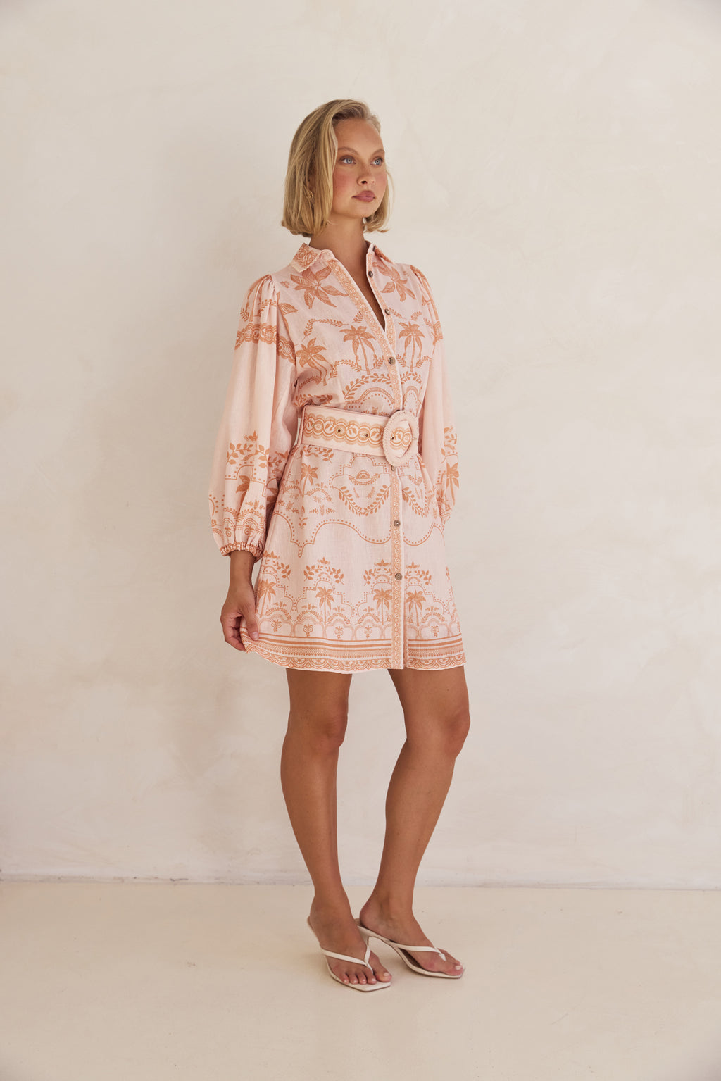 Xander Mini Dress (Peach)