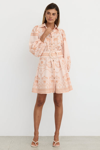 Xander Mini Dress (Peach)