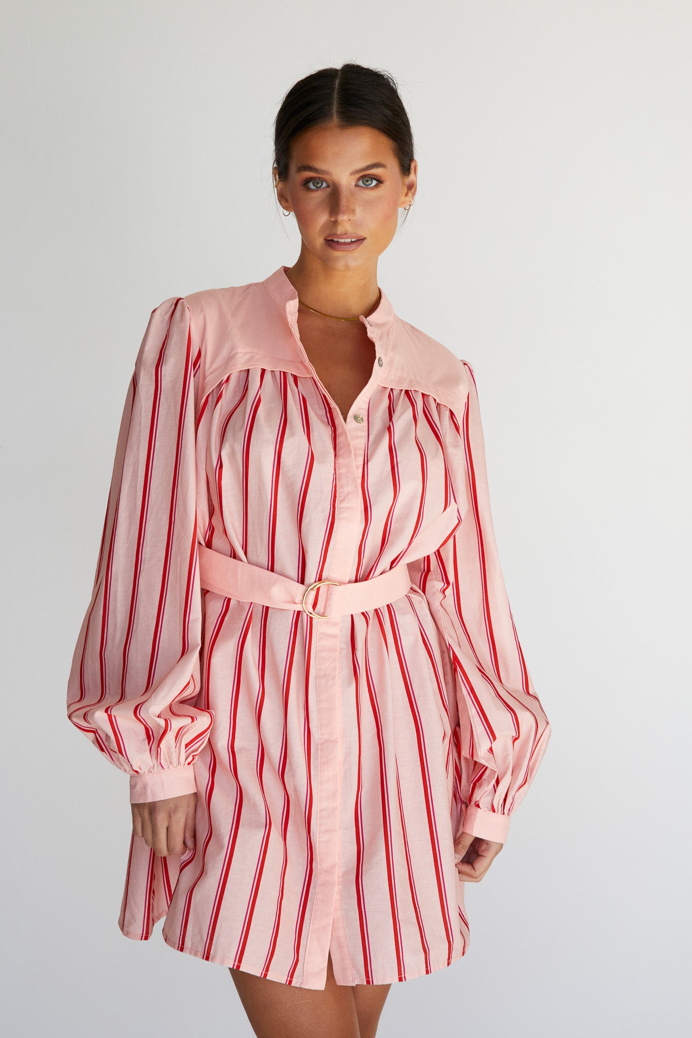 Ashie Mini Dress (Pink)