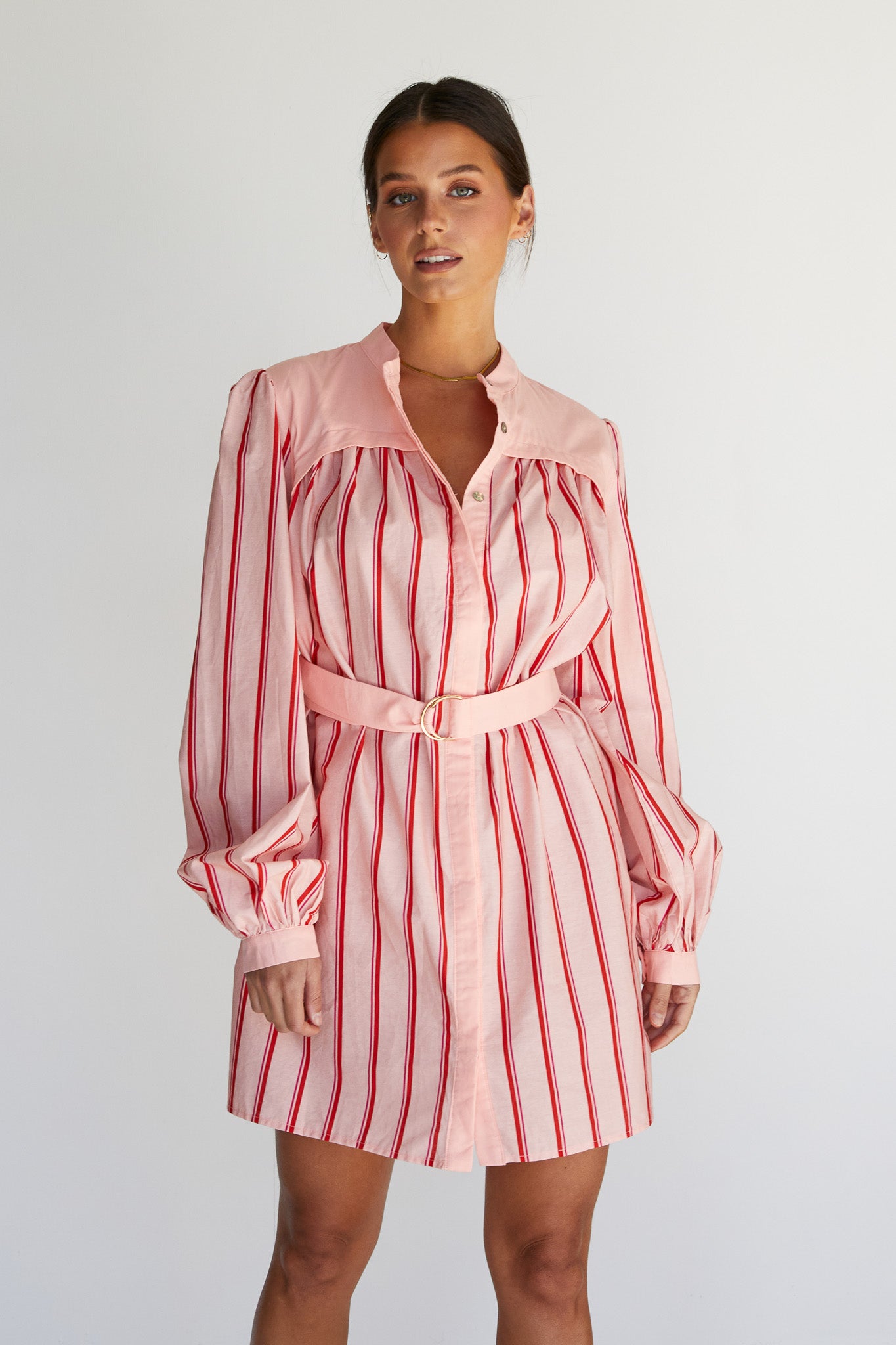 Ashie Mini Dress (Pink)