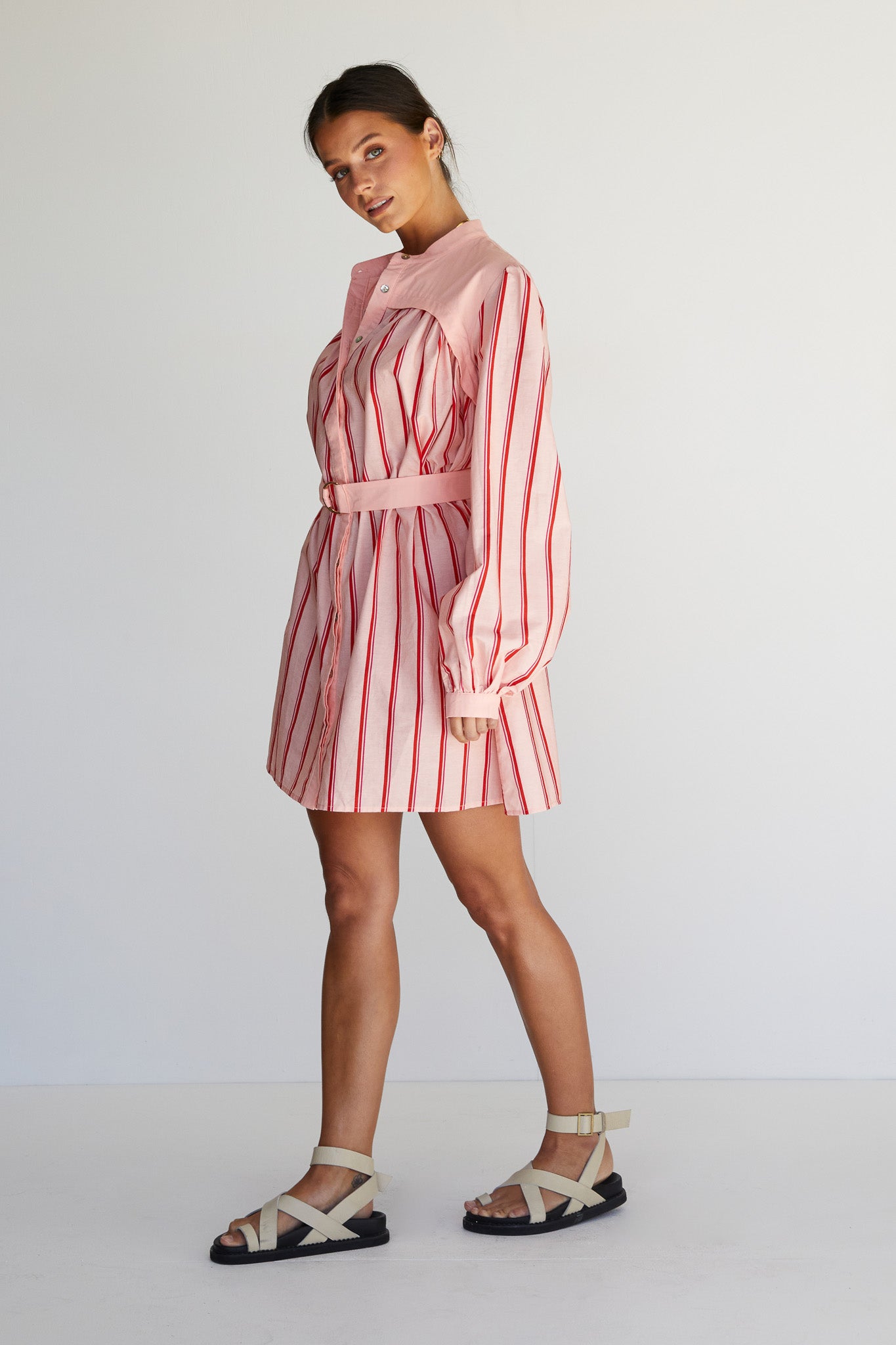 Ashie Mini Dress (Pink)