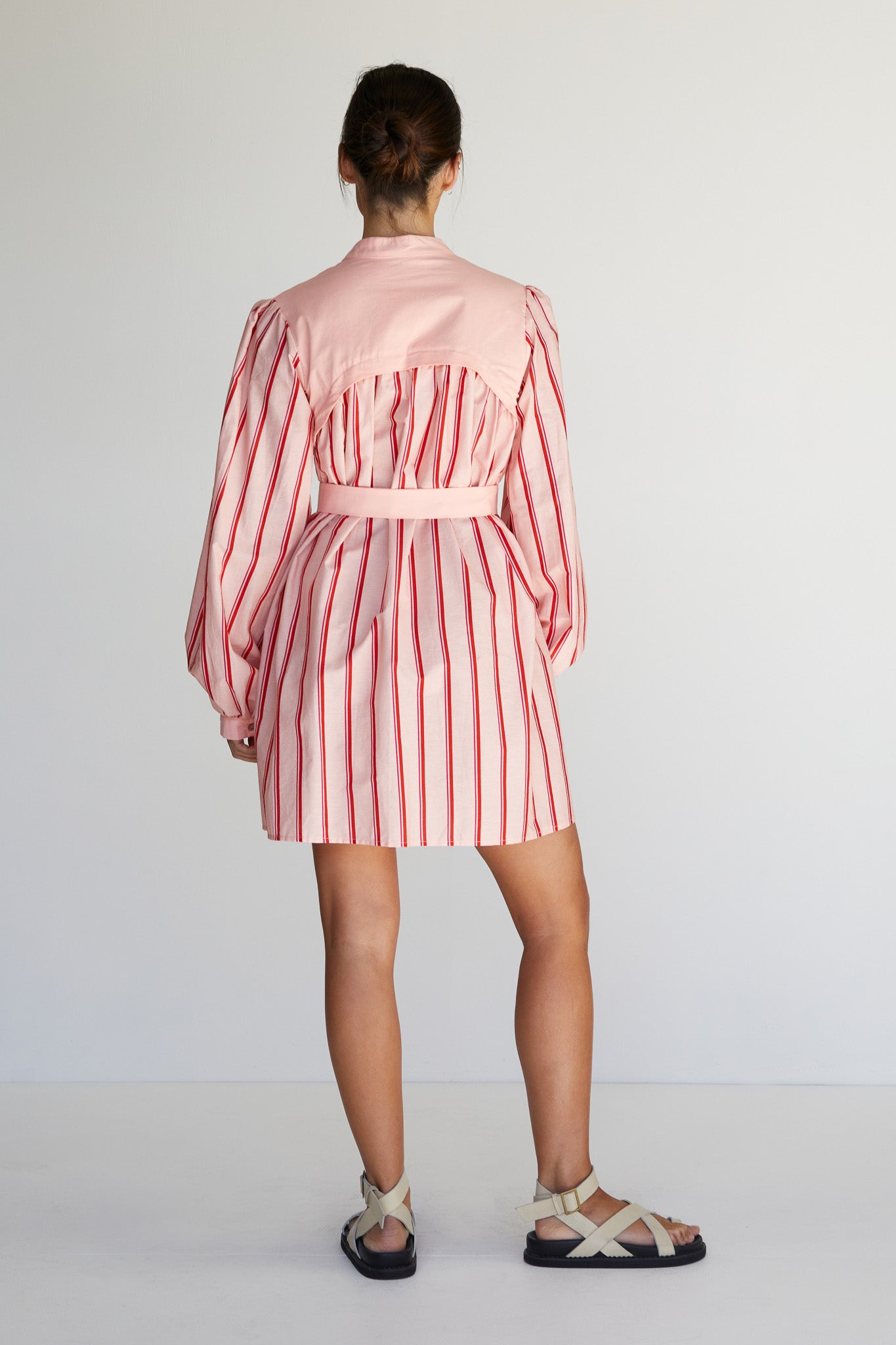 Ashie Mini Dress (Pink)